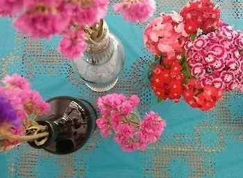 Luna Parque Bed & Breakfast